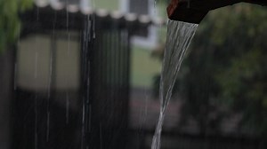 Download Rainwater from gutters for free