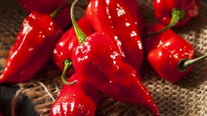 21K views · 23 reactions | The Truth About The World's Hottest Peppers | Mashed | Facebook