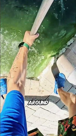 How They Clean a Pool This Dirty