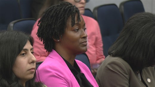 Jacksonville Rep. Angie Nixon reprimanded by Florida House committee for redistricting protest