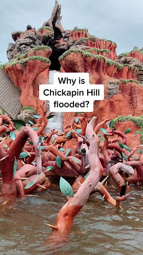 #disney #splashmountain #disneyland #disneyworld #wdw #disneyparks #disneytiktok #disneyrides #disneyattractions #disneysecrets