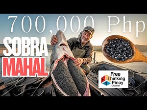 KING SALMON at itlog ng isda kasing mahal ng GINTO | Top 5 Expensive Food