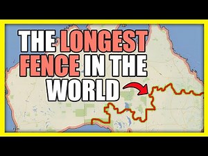 The Crazy Story Behind Australia’s Giant Dingo Fence