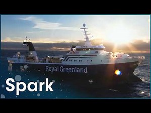 Akamalik: Greenland's Floating Fish Factory