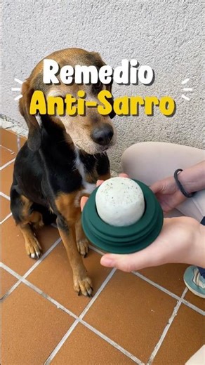 Receta para combatir el SARRO de los PERROS 🐶