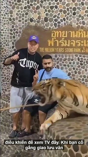 Động vật hài hước