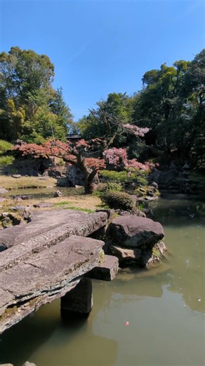 【鹿児島】旧島津氏玉里庭園｜#ASMR #japantravel #kagoshima #japanvlog #japanesecalligraphy #visitjapan #shorts
