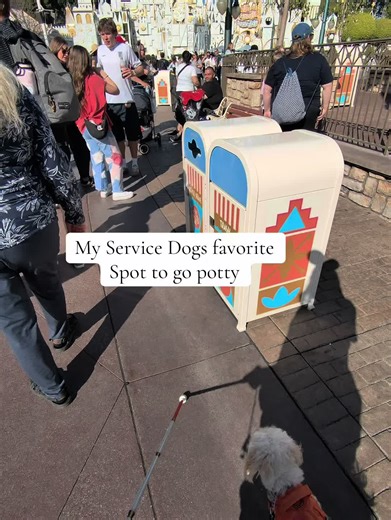 Best Secluded Spot for Service Dogs at Disneyland