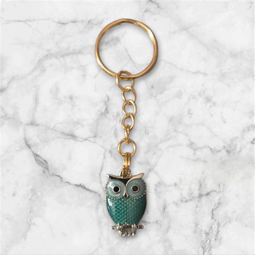 Blue Owl Keychain, Owl Lover Key Ring, Nature Lover Gift, Birds, Bird Watching, Barn, Countryside - Etsy