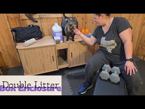 Double Litter Box Enclosure Review | Real-Life Setup & Use