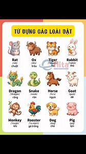 Ba mẹ dạy con các loài vật trong tiếng Anh nhé #cungconhoctienganh #tienganhchobe #tienganhtreem | Cùng Con Học Tiếng Anh