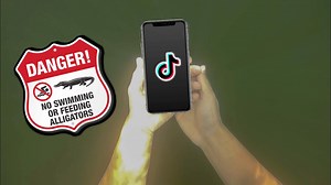 Diving with Alligators: Searching for Treasure in Dangerous Waters