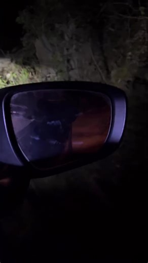 Real Ghost Video Recording – Capture the Unseen