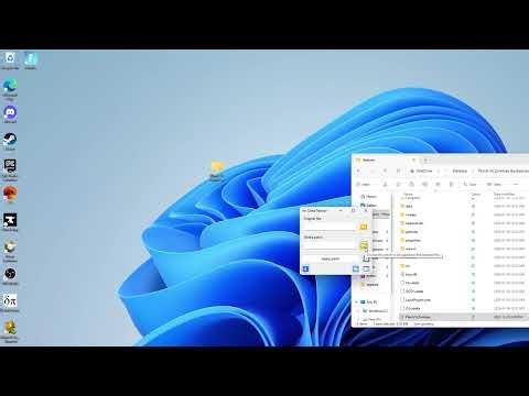 Ramen Roman's Backwards PvZ Mod Tutorial