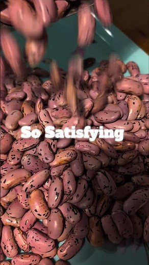 Making our garden season last longer #dryingbeans