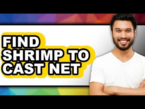 How to Find Shrimp to Cast Net - Step by Step