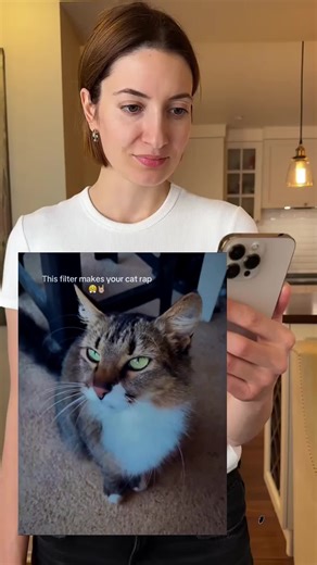 🐱🎤 OMG! My cat's secret rap talent is unleashed! This AI effect turns your cat into a rap star instantly! Auto-generate a sick beat music video—see whose cat has the most swag.#capcut #capcutpioneer #capcutforus #funny #cat