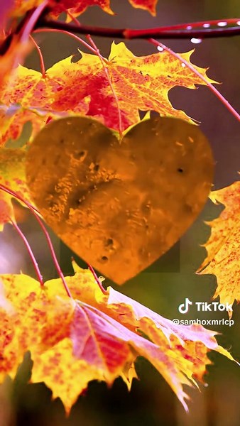 #squeezeyuk #satysfying #pimple #foryou #relax #acne