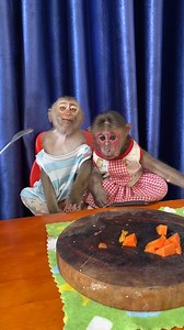 56K views · 461 reactions | Baby Monkey Meets a New Friend ❤️ #AnimalFriends #Wholesome | Short MV | Facebook