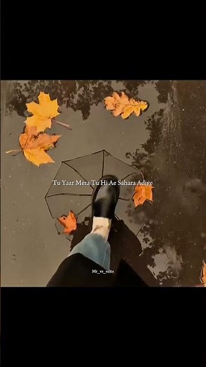 Tu Yaar Mera Tu Hi Ae Sahara Adiye | #lyricsreels #songlyrics #lyricsvideo #lyricalstatus #shorts