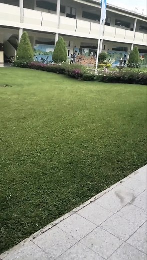 La Estancia School: The Most Beautiful School in Tegucigalpa 😍