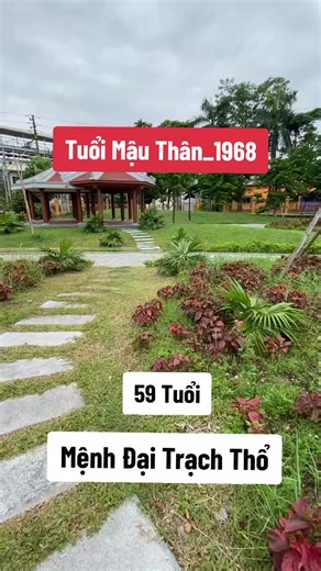 Tuổi Mậu Thân 1968 muốn phát tài đón vận may mắn thì làm ngay mẹo phong thủy này để mở vận đón tài lộc may mắn #tuoithan #1968 #phongthuycaivan #phongthuytamlinh