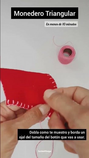 EN MENOS DE 10 MINUTOS - MONEDERO TRIANGULAR