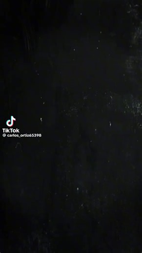 Videos de Cotorrito Marin (@cotorrito.marin) con “sonido original - Cotorrito Marin”