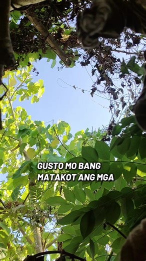 Hugot Lines: Emotional TikTok Video Compilation