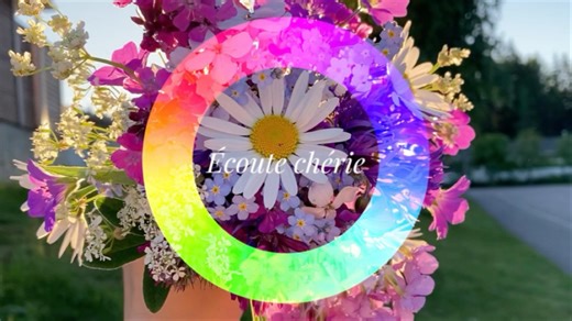 芬兰野花也来挑战下色环转场