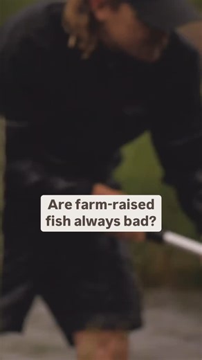 The propagation of trout in this area has gone on for over 100 years. Trout are native to the Appalachia region and when raised in a natural environment, you get a trout that looks and tastes like its wild counterpart. 🐟 Trout is about 80% water, so the quality of water used in the raceways and ponds where the fish are raised is extremely important. 💦 Up in the hills of Appalachia, our hatchery sits on untold reserves of some of the freshest, cleanest water on the planet - because of this, we