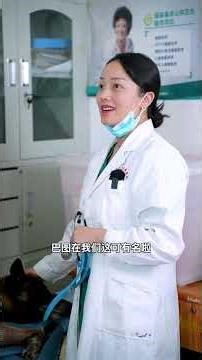 A touching moment: My dog ​​collapsed on the way to the grocery store because he was sick. Luckil...