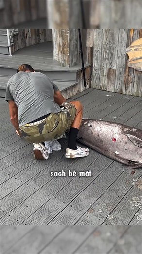 Cameraless photography techniques - Áo thể thao nam: https://s.shopee.vn/3fucBK0yye | Jayden Choi