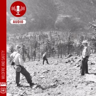 On a scorching August afternoon in 1949, a small fire in Montana's Mann Gulch turned catastrophic in just minutes. Through storyteller David Turner, experience the haunting tale that transformed wildland firefighting forever, and discover how it sparked a revolution in fire safety and science. Listen to FORESTCAST wherever you get your podcasts 🎧 https://www.fs.usda.gov/research/products/multimedia/forestcast. | U.S. Forest Service