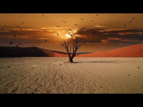 Desert Meditation Music 🌿Desert Night Calmness 🌿 Desert Chill Music for Deep Healing