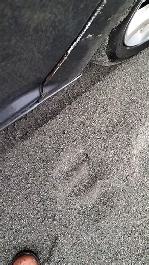 Fehmi bozacı (@fehmi1236)’s videos with orijinal ses - Fehmi bozacı