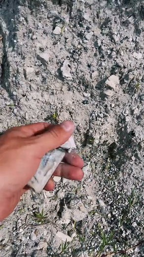 16K views · 283 reactions | #ocean #ancient #fossil #fossils #megaldon #sharkteeth #sea #saltlife #extinct #dino #dinosaur #paleontology . | Archaeologis | Facebook