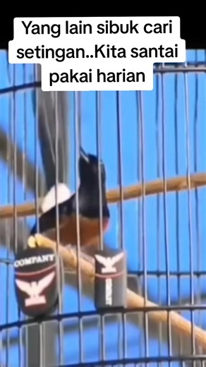 41 reactions · 15 comments | #divajayabf #divajayamastering | Diva Jaya BF | Facebook