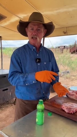 The Best Natural Meat Tenderizer