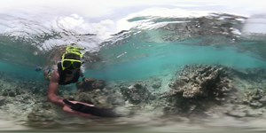 42K views · 93 reactions | Enjoy our snorkeling in 360! | De Palm Island Aruba | Facebook