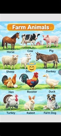 Farm Animals| Cute farm animals| English Vocabulary