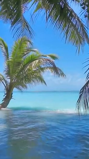 Who else is ready for a vacation? 😍🌴#summervibes #bettyboop | Betty Boop