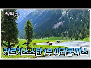 원시의 자연을 품은 모든 생명의 낙원 키르기스스탄 아라쿨 패스 1부 [영상앨범 산] KBS 251005 방송