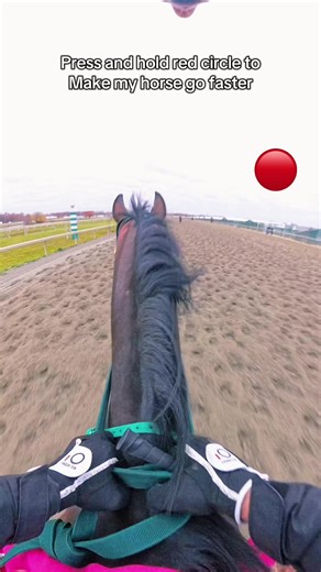 How to Make a Horse Go Faster by Pressing a Button