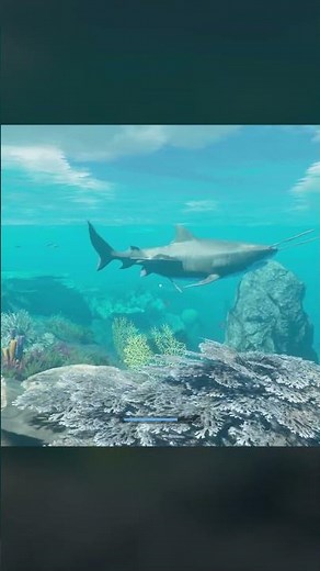 Der Plüsch-Hai (Stranded Deep)