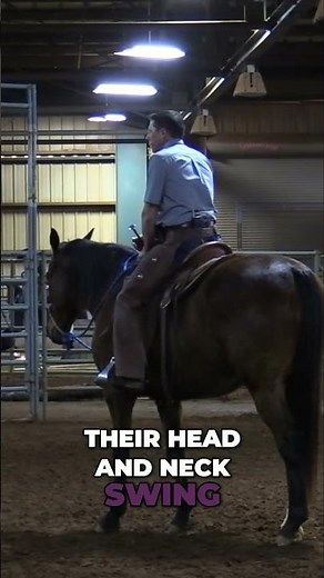 The Flow of Movement: How Everything Should Swing in Motion