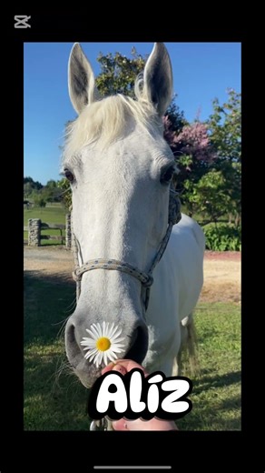 Tavaszi háttérképek nevek szerint pt2