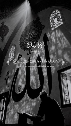 Surah Al-Baqarah | The Cow, and the Longest Surah of Guidance 🤍