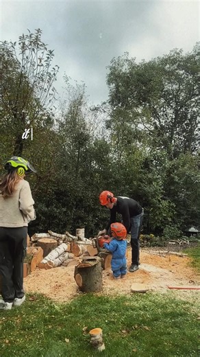 Det her er grunden til jeg blev arborist 🌳 Jeg elsker arbejdet med træer — både de store og de små øjeblikke undervejs. #arborist #træfældning #beskæring #midtsjælland #rønnede