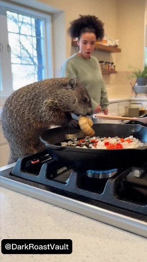 1.6K views | No man its 冷藍 #meme #funny | Leafy Laughs | Facebook